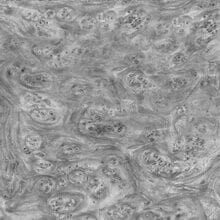 koren-orexa-220x220-min